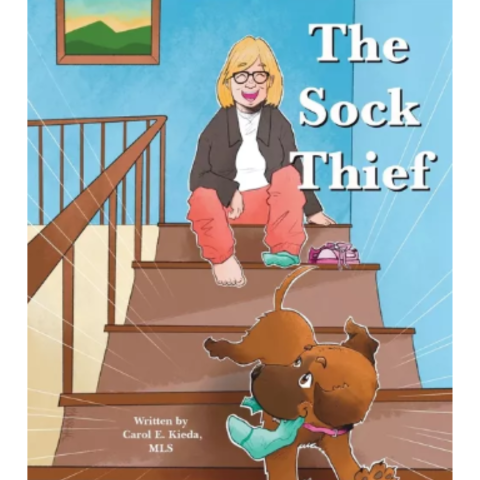 Woman sitting on a staircase with a dog running away with a sock. 